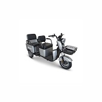 TRIMOTOR CARGO BIKER RUSTER GRIS (ENTREGA INMEDIATA
