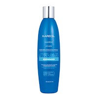 Shampoo Kareol - Arándano x 300 ml