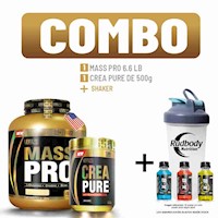 COMBO LEVEL PRO - MASS PRO 6.6 LIBRAS RICH CHOCOLATE + CREA PURE 500 GR. +SHAKER