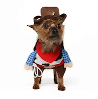 Disfraz para Mascota CowBoy