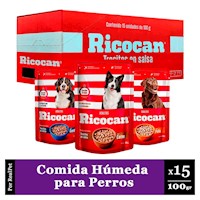 Pack Caja x15 Comida Húmeda Ricocan Varios Sabores 100gr