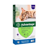 Pipeta Antipulgas Advantage para Gatos de 4 a 8Kg