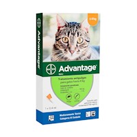 Pipeta Antipulgas Advantage para Gatos hasta 4Kg