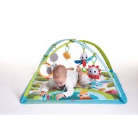 12065 GIMNASIO MEADOW DAYS SUNNY DAY