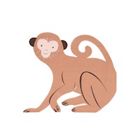 Servilleta de Mono por 16 Und Safari Meri Meri