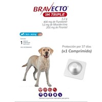 Antipulga Bravecto 20-40KG x 1 Tab Protección Mensual