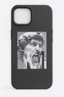 David Rock 14 Case