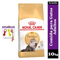 Comida Gatos Persas Adulto Royal Canin Persian 10 kg + Regalo