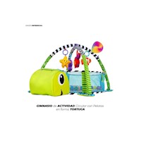 Gimnasio de Actividad Circular con Pelotas Tortuga