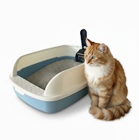 Caja de Arena Arenero para Gato con Pala Cernidora 13x30x40cm