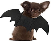 Disfraz Rypet de murciélago, disfraz de Halloween para mascotas