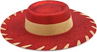 Disney Jessie - Sombrero de disfraz para niños - Toy Story 2