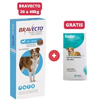 Antipulgas Bravecto para perros de 20 - 40 kg