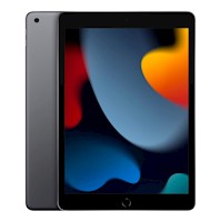 Apple Ipad 9th Generation Wi-Fi 64GB Gray