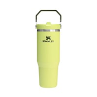 Tumbler Vaso de acero inoxidable Stanley IceFlow Flip straw 30oz -Prickly Pear