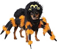 Disfraz de araña para perro cachorro, color negro y naranja
