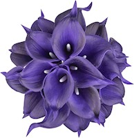 20 lirios de artificiales de látex morado oscuro