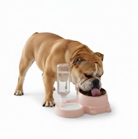 Comedero y Bebedero 2 en 1 con Dispensador de Agua para Mascotas Perro Gato
