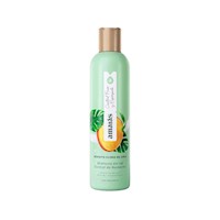 Amarás Shampoo Control Frizz – Frasco 400ML