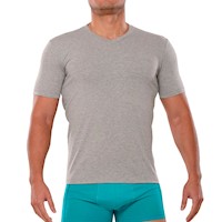 Polo Manga Corta Fila Cuello V Plomo Claro