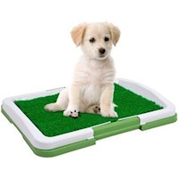 Puppy Potty Pad  Baño Ecologico Para Mascotas Perros Con Cesped Baño Entrenador
