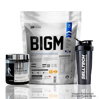 Bigm 3Kg Vainilla+Creatina Kevin Levrone 300gr+Shaker