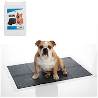 Pack x20 Pañal para Perros Talla XL para Piso Absorbente Carbón Activado 60x90cm
