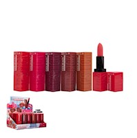 Labial en Barra Mate Waterproof EVER BEAUTY