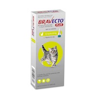 Bravecto Plus 112.5 mg Pipeta Para gatos 1.2kg - 2.8kg