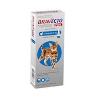 Bravecto Plus 250 mg Pipeta Para gatos 2.8kg - 6.25kg
