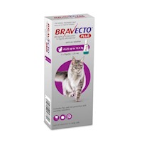 Bravecto Plus 500 mg Pipeta para Gatos 6.25kg - 12.5kg