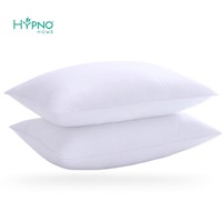 Pack x2 Almohadas de Microfibra Siliconada 1200gr 50x70cm c/u
