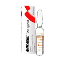 Amikabiot 250 mg/2 mL Solución Inyectable