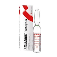 Amikabiot 500 mg/2 mL Solución Inyectable
