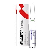 Amikabiot 1 g/4 mL Solución Inyectable