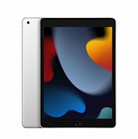 APPLE IPAD 9na GENERACION Wi-Fi 102 64GB - SILVER