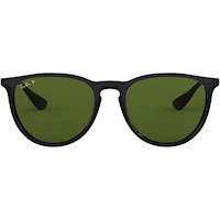 Ray-Ban RB4171 Erika Gafas de sol | Black / Green