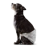 PAÑALES PERRO AMAZON BASICS DESECHABLES TALLA M 30 UND.