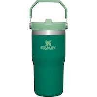 Stanley Iceflow - 20 OZ - Verde Jade