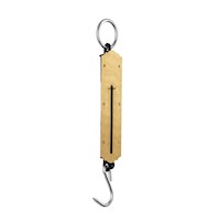 BALANZA ROMANA DE RESORTE 50 KG PRETUL