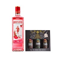 Gin Beefeater Pink + Kit Botanicos Refill