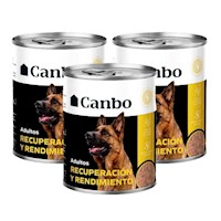 Pate Canbo Perro Adulto Recuperacion y Rendimiento 330g x3