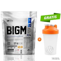 BIGM CONSTRUCTOR MUSCULAR 5KG + SHAKER