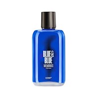 BLUE & BLUE MEMORIES FOR HIM 90ml
