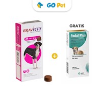 Bravecto Antipulgas para Perro Masticable 40 - 56 Kg + GRATIS Endal Vencimiento 28.02.25