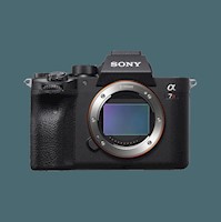 Sony Cámara Profesional Alpha Mirrorless Ilce-7Rm4A