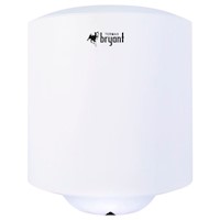 Terma Eléctrica Bryant Basic Zafiro 50L de Colgar 2 Puntos 