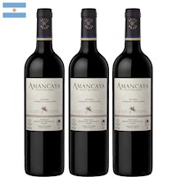 Pack 3 Vino Tinto Caro Amancaya - Malbec/Cabernet Sauvignon 750 ml