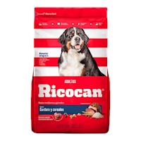 Comida Perro Adulto Mediano y Grande Ricocan Cordero 22kg