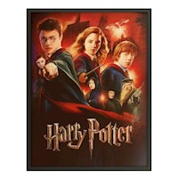 Cuadro 3d Decorativo De Harry Potter Con Movimiento